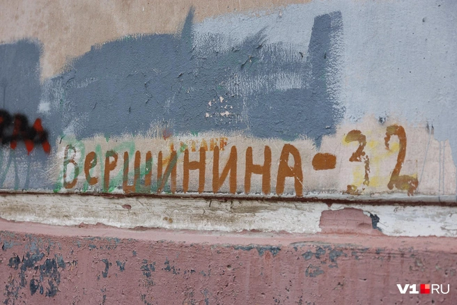 Источник: Алексей Волхонский / V1.RU