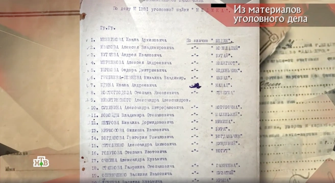 Источник: скриншот программы «Следствие вели…» с Леонидом Каневским