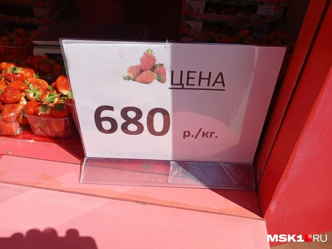 Источник: Полина Громова / MSK1.RU