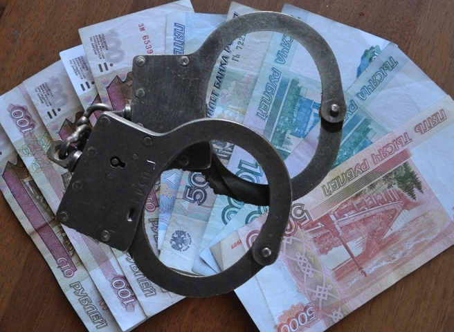 Жителя Подмосковья осудят за попытку подкупить рязанского полицейского | ya62.ru