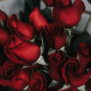 Гадаем на красных розах: какого знака зодиака будет твой будущий муж? 🌹