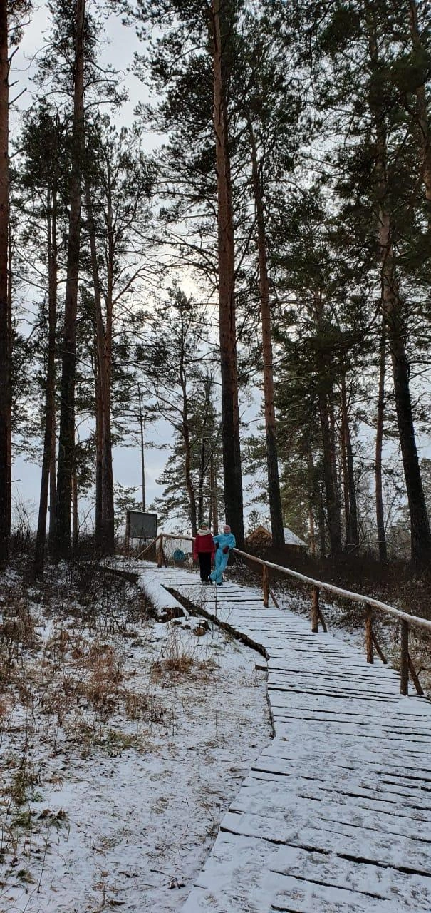 Сама по себе экотропа «Зверобой» бесплатная, потратиться придется только на бензин и обед | Источник: Денис Раннев