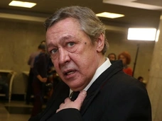 Новый адвокат Михаила Ефремова требует заменить ему срок на условный