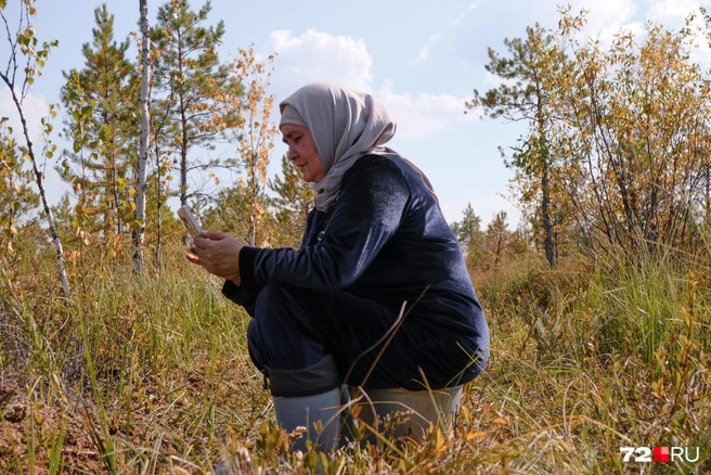 Поймать связь на болоте непросто. Но возможно | Источник: Анастасия Малышкина / 72.RU