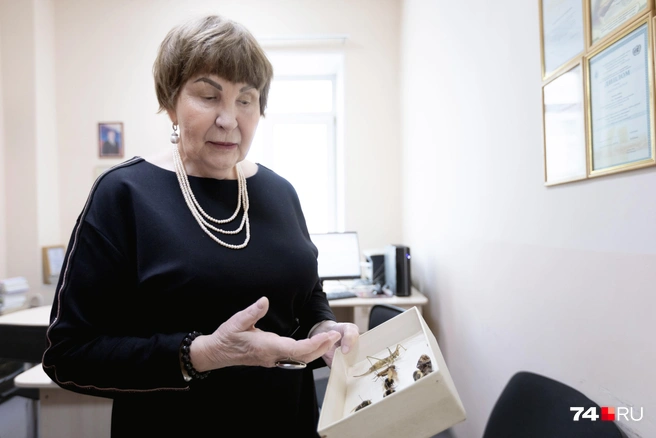 Со временем круг интересов Зои Ивановны расширился, и она стала изучать другие виды насекомых | Источник: Наталья Лапцевич