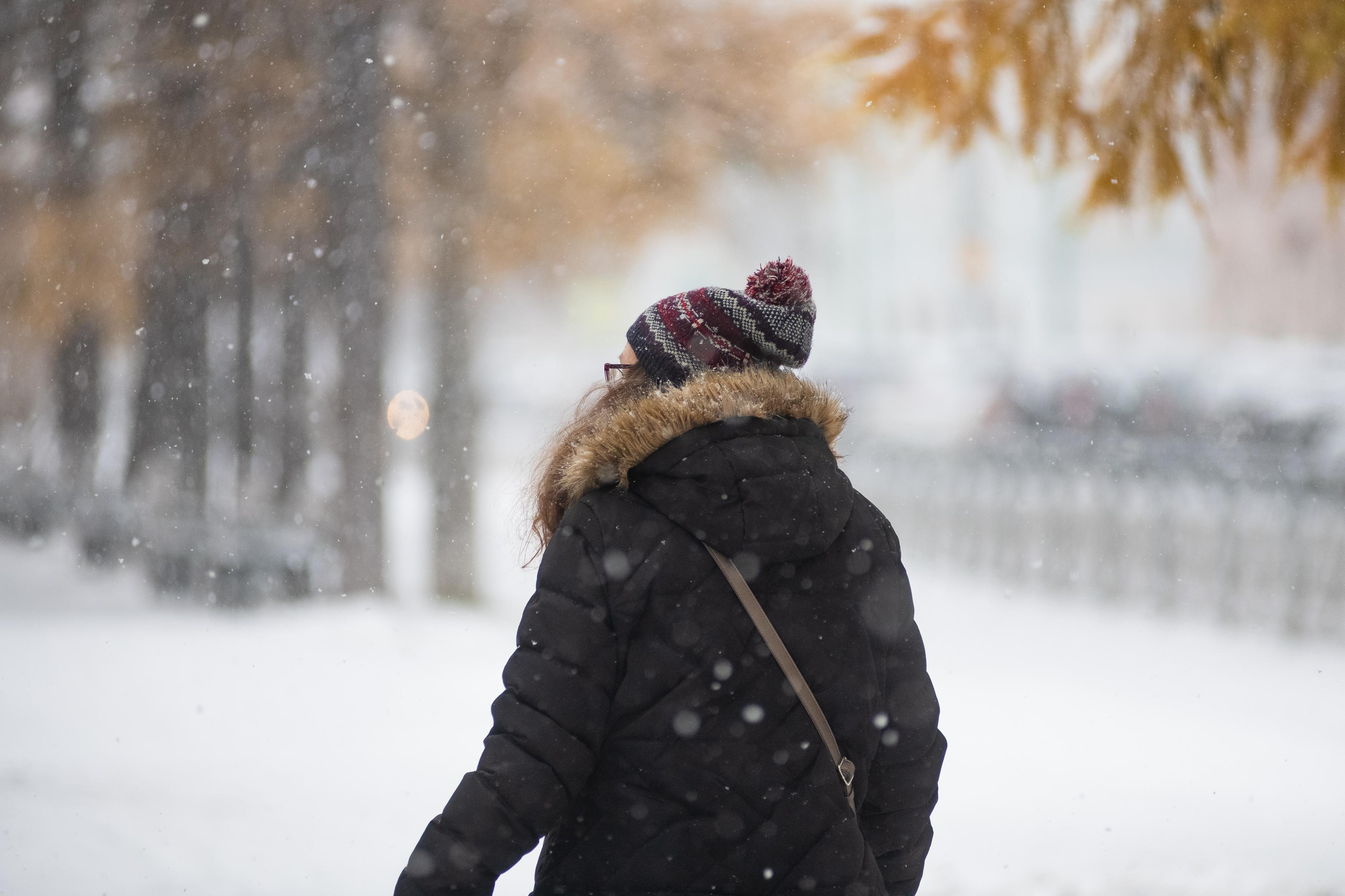 Дойдет до оттепели или продолжится зима? Как изменится погода в Архангельске и области в понедельник