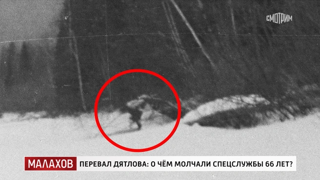 Источник: кадр из программы «Малахов» (16+), «Россия 1», 2025 год