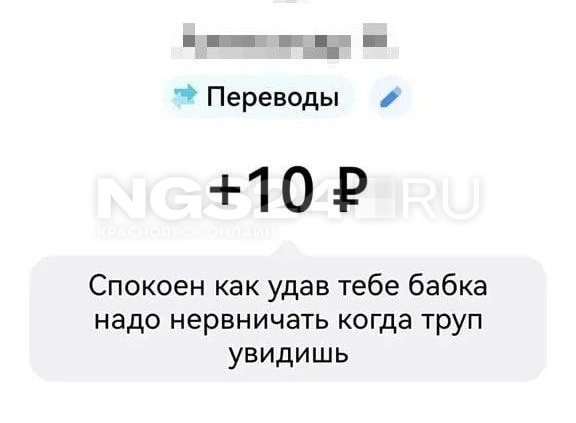 Подобных переводов много | Источник: предоставлено Анастасией