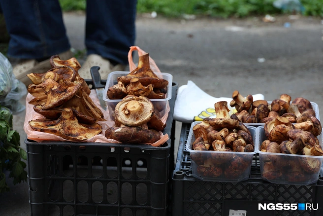 Источник: Евгений Софийчук / NGS55.RU