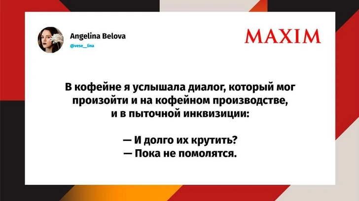 Самые смешные шутки понедельника и «котик для чаевых» | Источник: X (Twitter)
