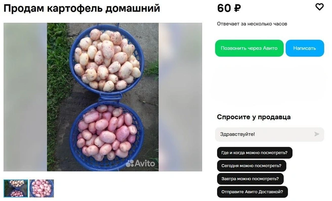 Источник: Avito.ru