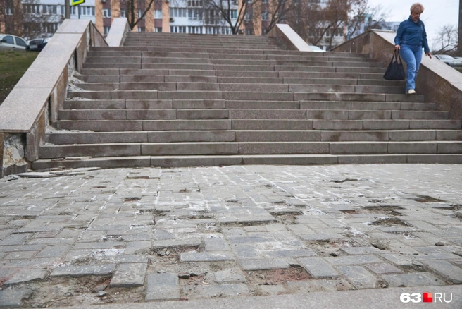 А может, это черви постарались? | Источник: Роман Данилкин