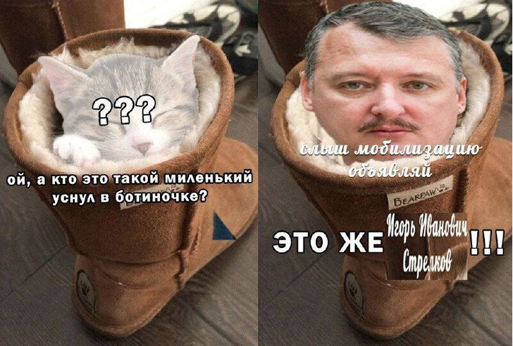Лучшие мемы про Игоря Стрелкова, который требует провести мобилизацию