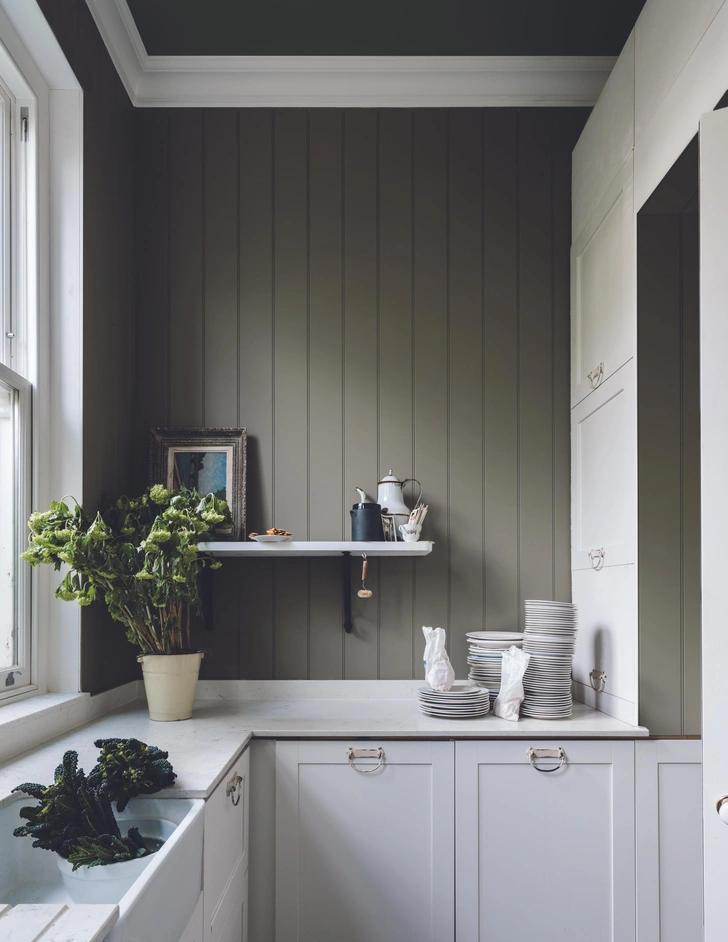 Тренды 2021: модные цвета по версии Farrow & Ball