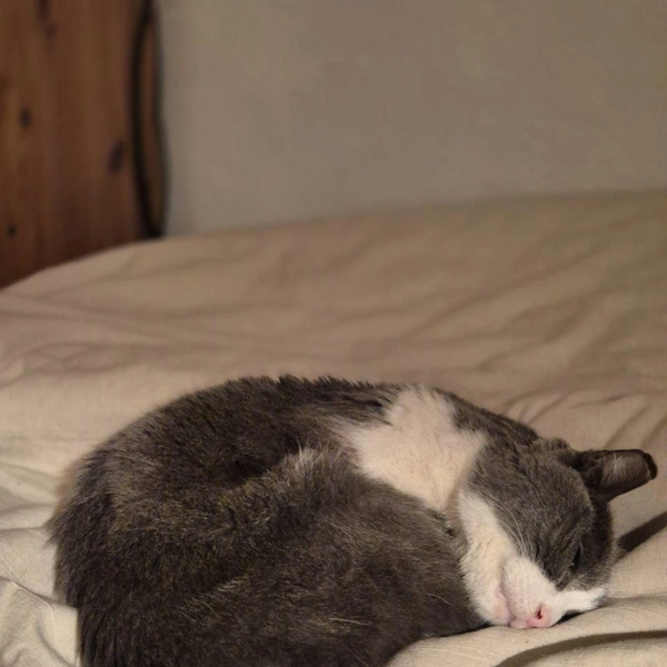 Источник: endless wonder / Telegram