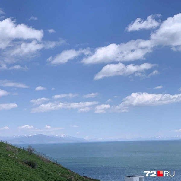 Источник: Полина Перепелица / 72.RU