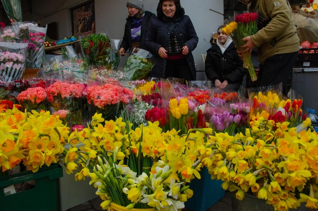 Свежие цветы с огородов Сочи. А вот мимозы нет. К 8 марта она практически отошла | Источник: Оксана Витязь