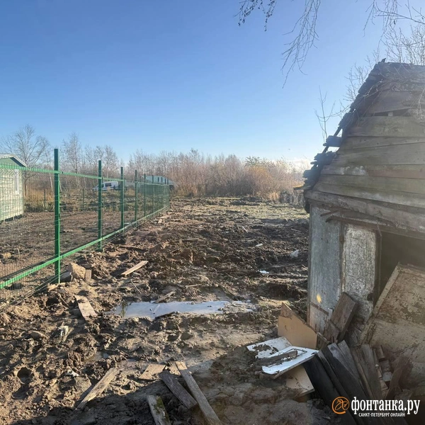 Источник: «Фонтанка.ру»
