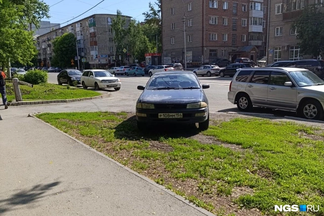 Дурной пример бывает очень заразителен  | Источник: читатель НГС