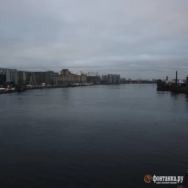 Источник: Валентин Егоршин / «Фонтанка.ру»
