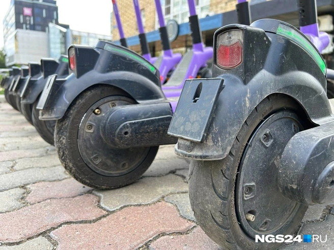 Готовы привезти денег своим владельцам | Источник: Алексей Тайганавт / NGS24.RU