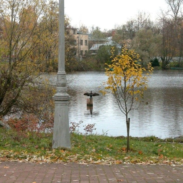 Источник: Павел Глазков / «Каждой твари по паре»