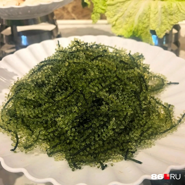А это морской виноград. По вкусу напоминает морскую соленую воду | Источник: Анастасия Шевякова / 86.RU