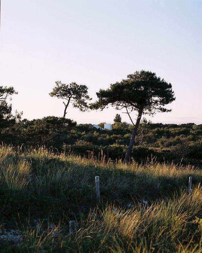 Источник: Марион Беррин