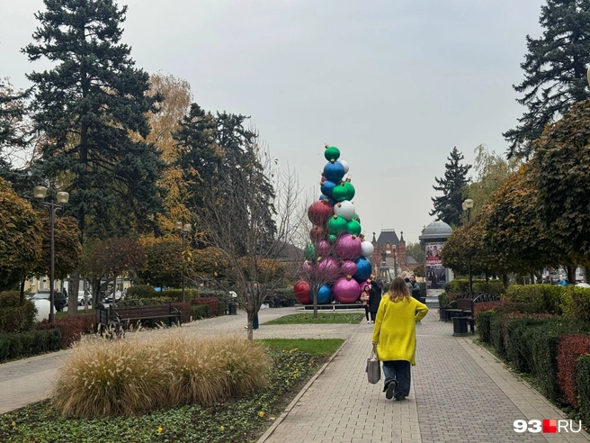 На улице Красной, которую украшает Галицкий, установили новогодние елки | Источник: Дарья Паращенко / 93.RU