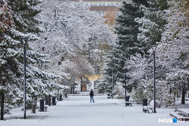 Снег плотным слоем лёг на дороги и газоны, полностью скрыв осеннюю листву | Источник: Александр Ощепков / NGS.RU