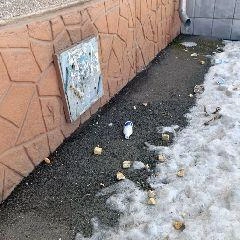 Источник: city-n.ru