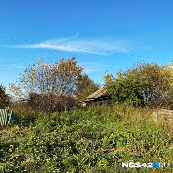 Источник: Елизавета Богатырева / NGS42.RU