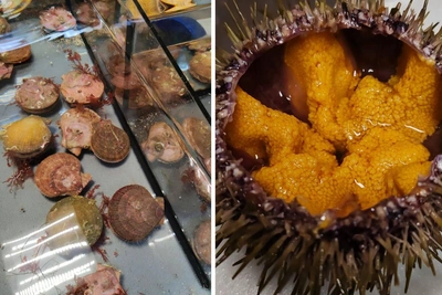 Лучшие места Мурманска для свежих морепродуктов