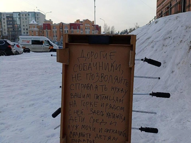 Горку в Коломягах испортили собачники. Дед Мороз просит прекратить | Источник: Приморский район СПб