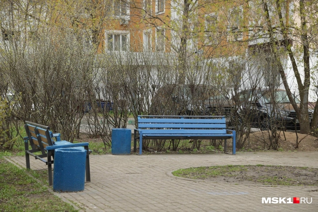 Пока здесь нет буйных подростков, можно чувствовать себя спокойно | Источник: Дмитрий Толстошеев / MSK1.RU