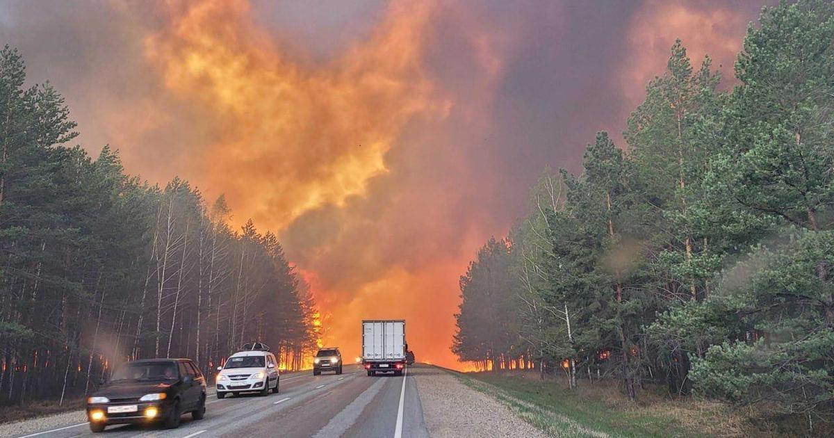 Пожар в тюменской области сейчас карта