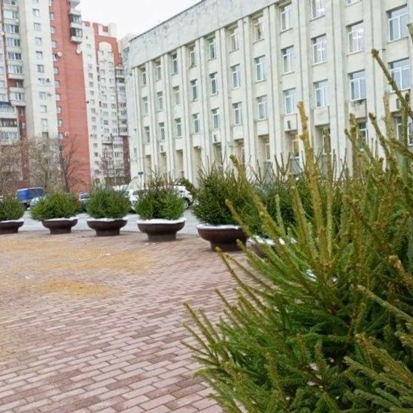 Источник: Комитет по благоустройству Санкт-Петербурга