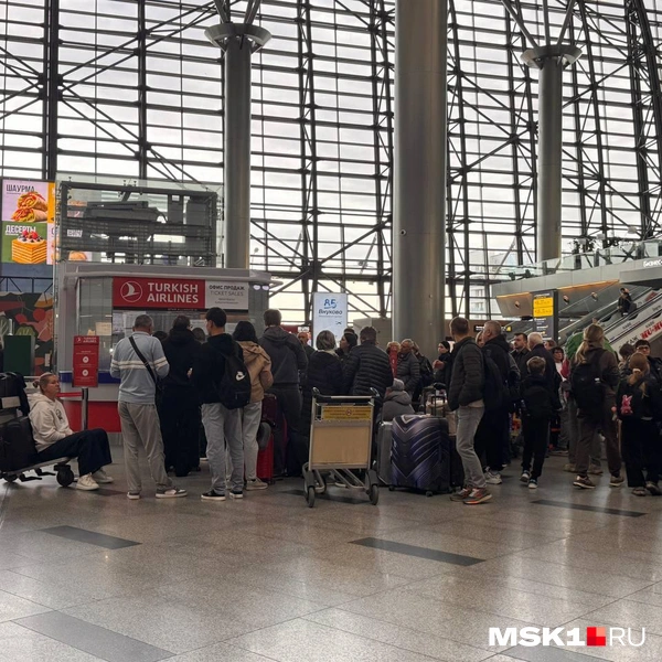 Огромная очередь скопилась у стоек Turkish Airlines | Источник: Кристина Геворкян / MSK1.RU