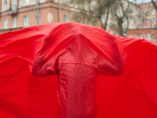 Источник: Александр Ощепков / NGS.RU