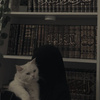 userpic__Aida