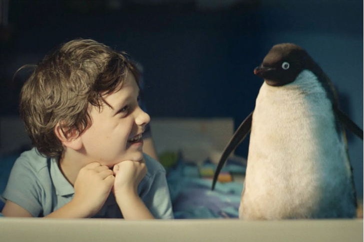 Как купить плюшевого пингвина и спасти настоящего