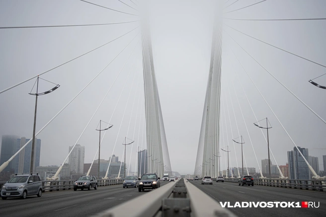 Источник: Елена Буйвол / VLADIVOSTOK1.RU