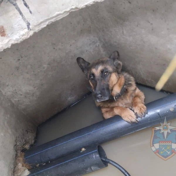 Источник: Аварийно-спасательная служба ЛО