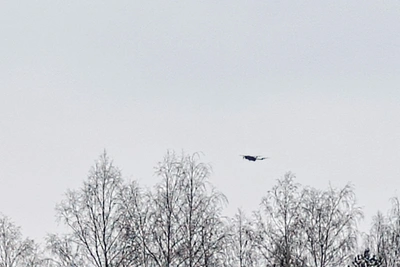 В Тульской области объявили угрозу атаки БПЛА