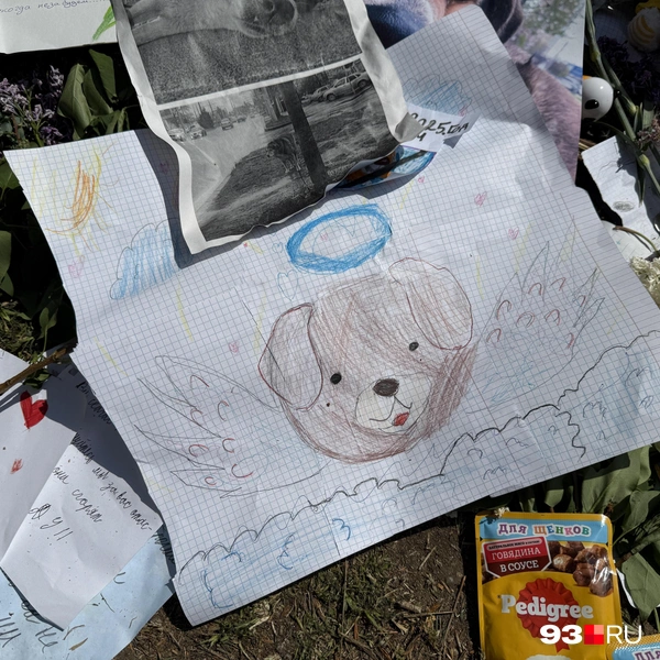 А еще к мемориалу приносят корм и цветы | Источник: Валерия Дульская / 93.RU