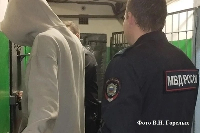 Погоня с пьяным водителем в Серове закончилась стрельбой