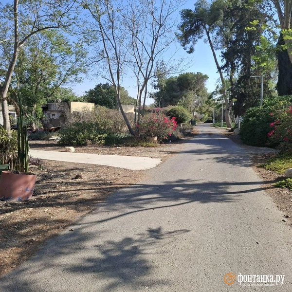 Источник: Ирина Багликова / «Фонтанка.ру»