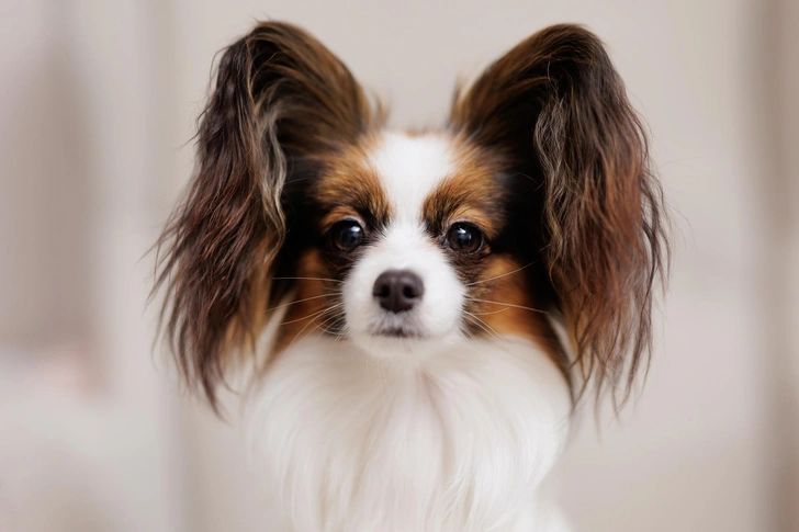 Источник: iStock