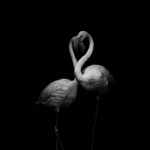 Источник: Sharon Lee / Exposure One Awards 2025