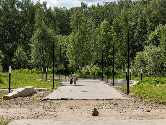 Аллея ведет в никуда | Источник: Александр Куренной / 76.RU